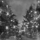 Illustration for article titled Christmas Tree Lane Hosts The Oldest Holiday Display In The World